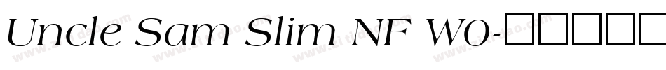 Uncle Sam Slim NF W0字体转换